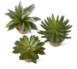 Load image into Gallery viewer, Succulents in Distressed Terra Cotta Pot with Pebble Rocks
