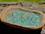 Load image into Gallery viewer, Fire Bowl Green Glass “ Citronella”Soy Candle in Brown Dough Bowl
