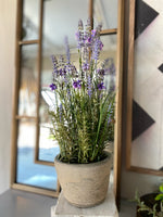 Load image into Gallery viewer, Artificial Lavender in Cement Pot
