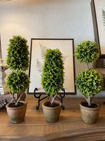 Load image into Gallery viewer, Set of 3 Topiaries in Terra Cotta Pots

