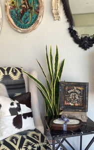 Rustic Boho Honey Bee Distressed Frame