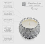 Load image into Gallery viewer, Sweet Winter Vanilla 9oz. Silver Soy Candle
