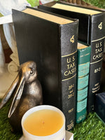 Load image into Gallery viewer, Pair of Bunnies Aged Gold with Bronze Weighted Bookends
