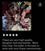 Load image into Gallery viewer, Copper Wine Crystal Accents Glam Velvet Poinsettia with Sequins Pack of 3 Christmas or Fall
