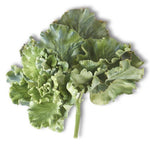 Load image into Gallery viewer, Green Artificial Kale 10 Inch Real Touch Kale Bush
