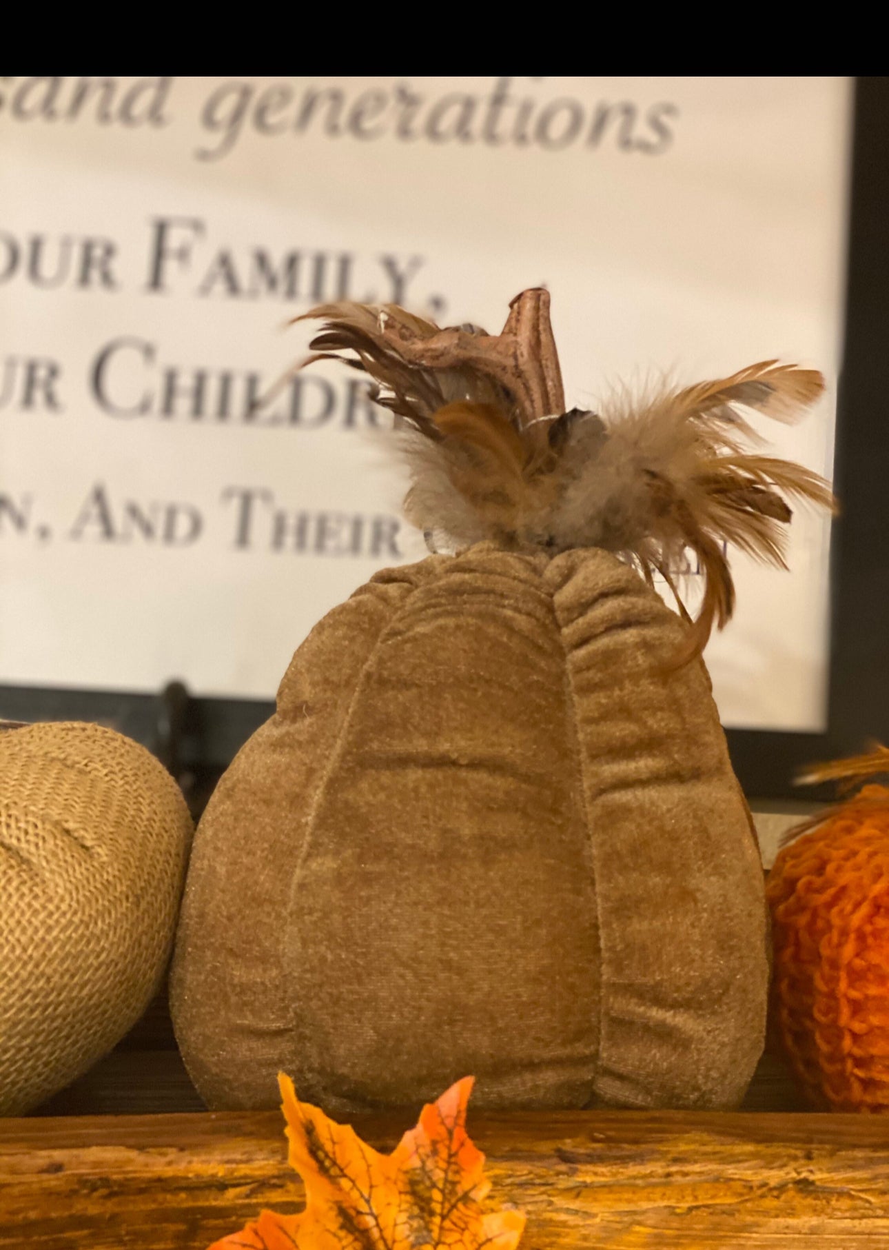 Dark Tan Velvet Bean Gourds with Feathers