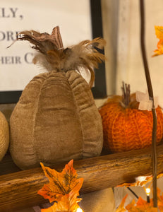 Dark Tan Velvet Bean Gourds with Feathers