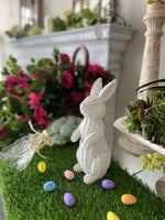 Load image into Gallery viewer, Easter/Spring Collection: White Wicker Bunnies Set of 2
