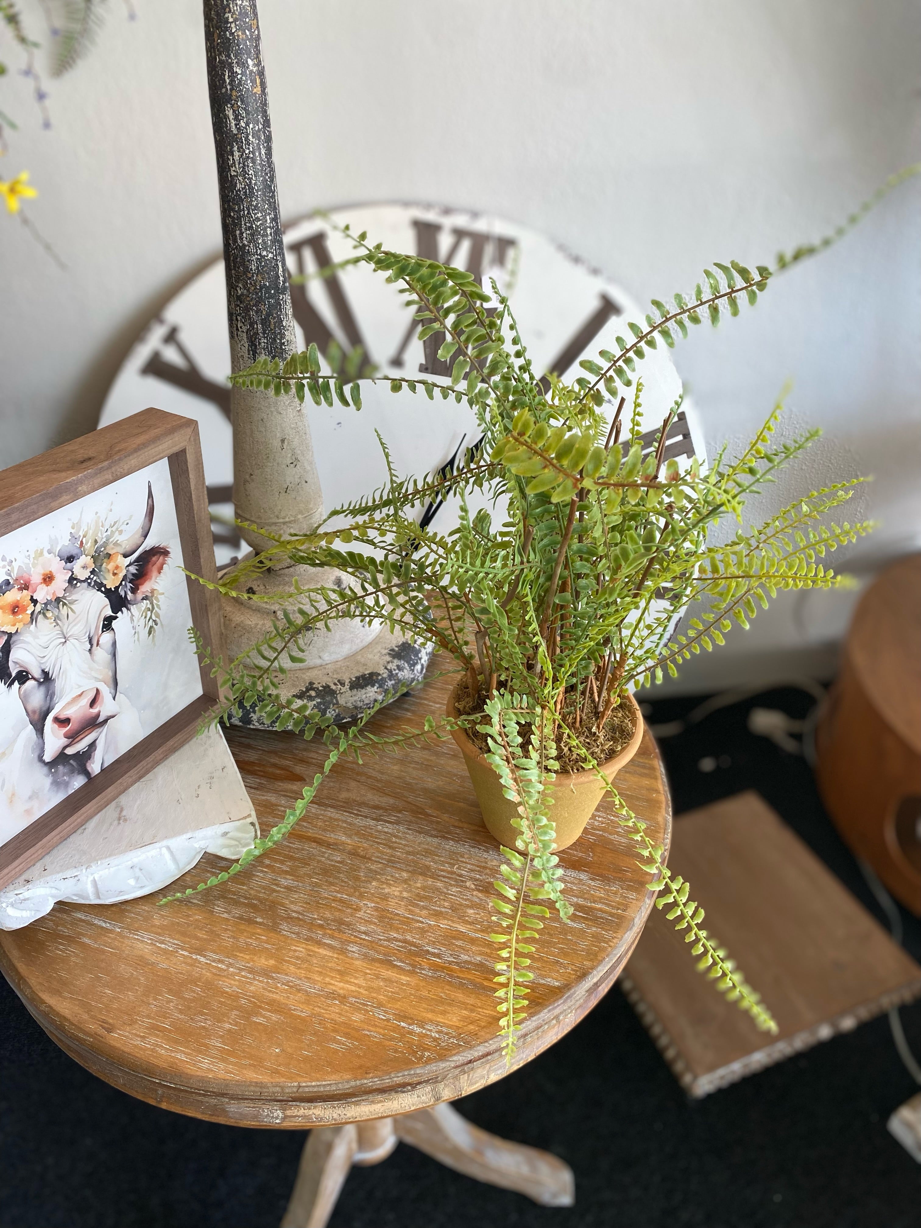 Artificial Realistic Fern in Terra Cotta Pot