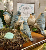 Load image into Gallery viewer, Blue Birds on a Wood Branch Resin Accessories
