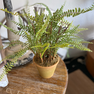 Artificial Realistic Fern in Terra Cotta Pot