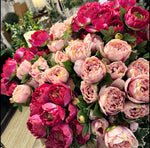 Load image into Gallery viewer, Hot Pink Peony Bush 16 heads
