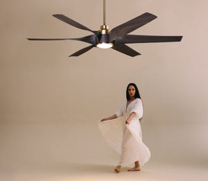 NEW! Kimbo 60" 6-Blade DAMP Ceiling Fan