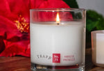 Load image into Gallery viewer, Trapp Ambiance 8.75oz Soy Candles
