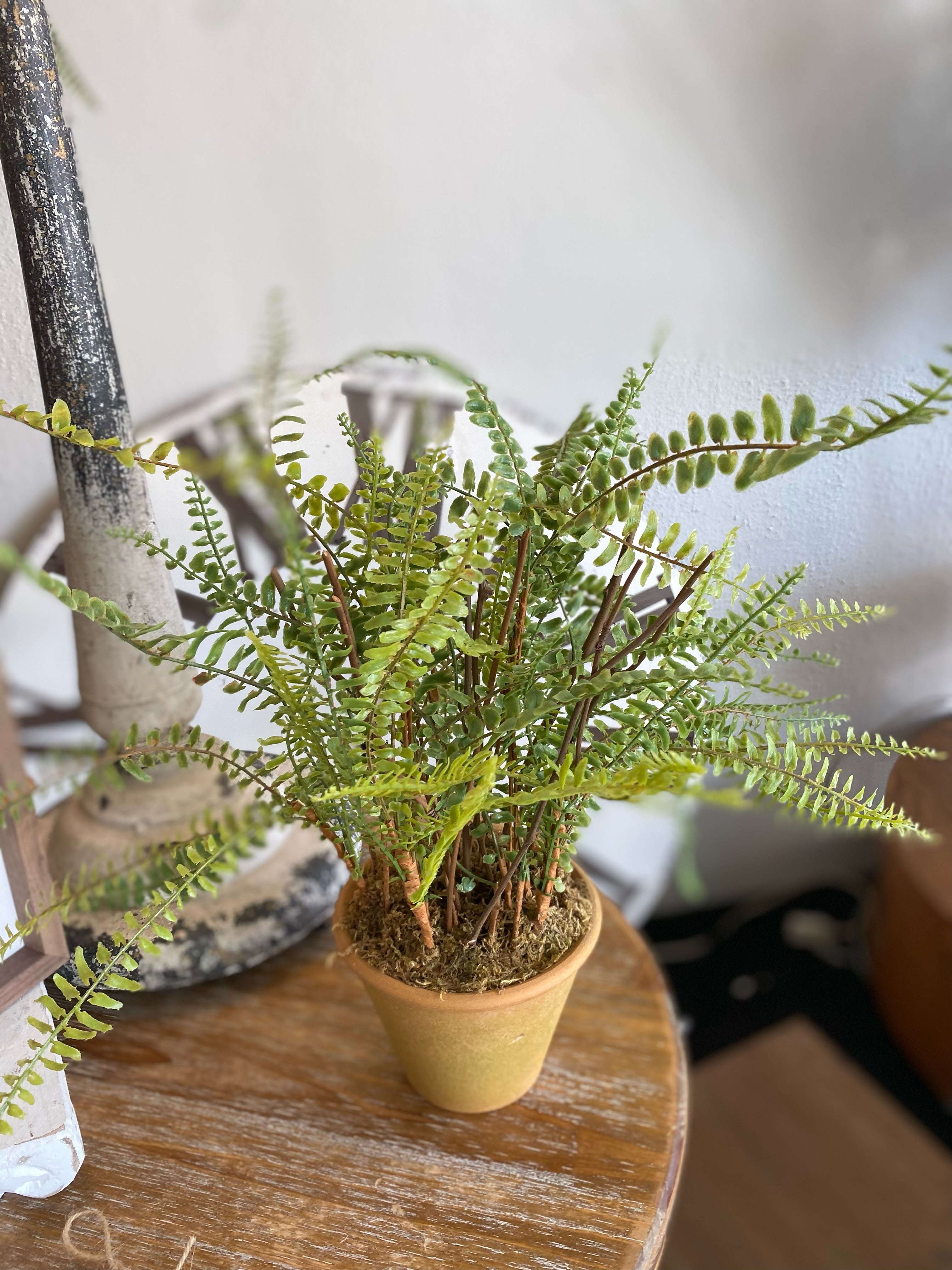 Artificial Realistic Fern in Terra Cotta Pot