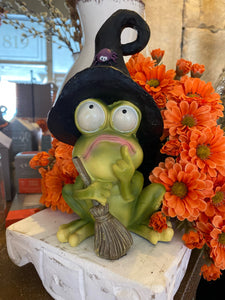 Phoebe the Frog with Black Witch Hat Spider and Holding Broom