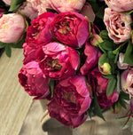 Load image into Gallery viewer, Hot Pink Peony Bush 16 heads
