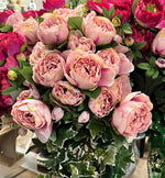 Load image into Gallery viewer, Light Pink Peony Bush 16 heads

