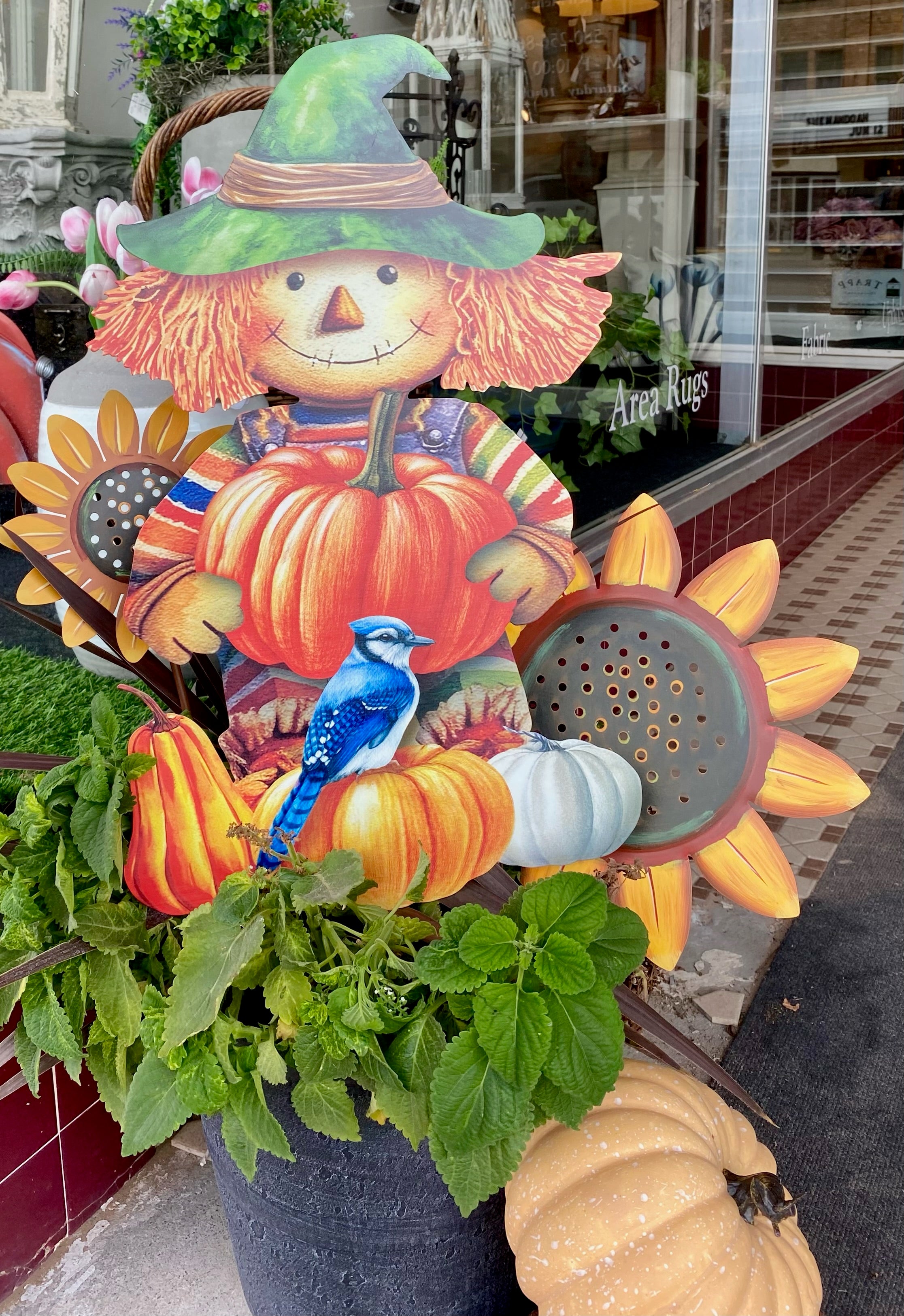 Fall Scarecrow Holding a Pumpkin with Blue Bird Metal with attached stakes