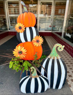Load image into Gallery viewer, Set of 2: Large Black &amp; White Tall &amp; Short Striped Pumpkin Stake Fall Autumn
