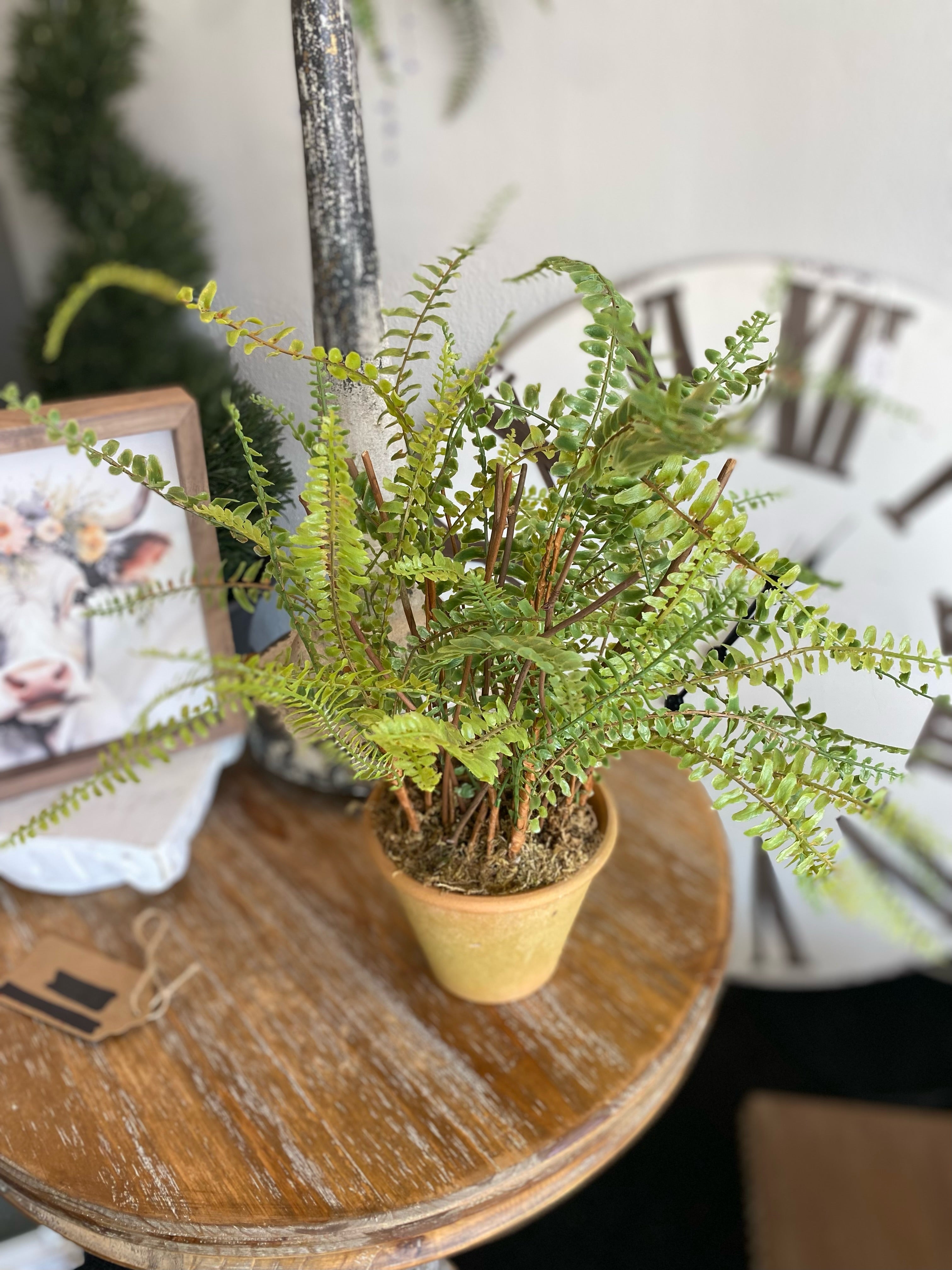 Artificial Realistic Fern in Terra Cotta Pot