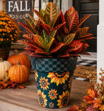 Load image into Gallery viewer, Sunflower Outdoor Pot with Gray and Black Check Border  15” pot
