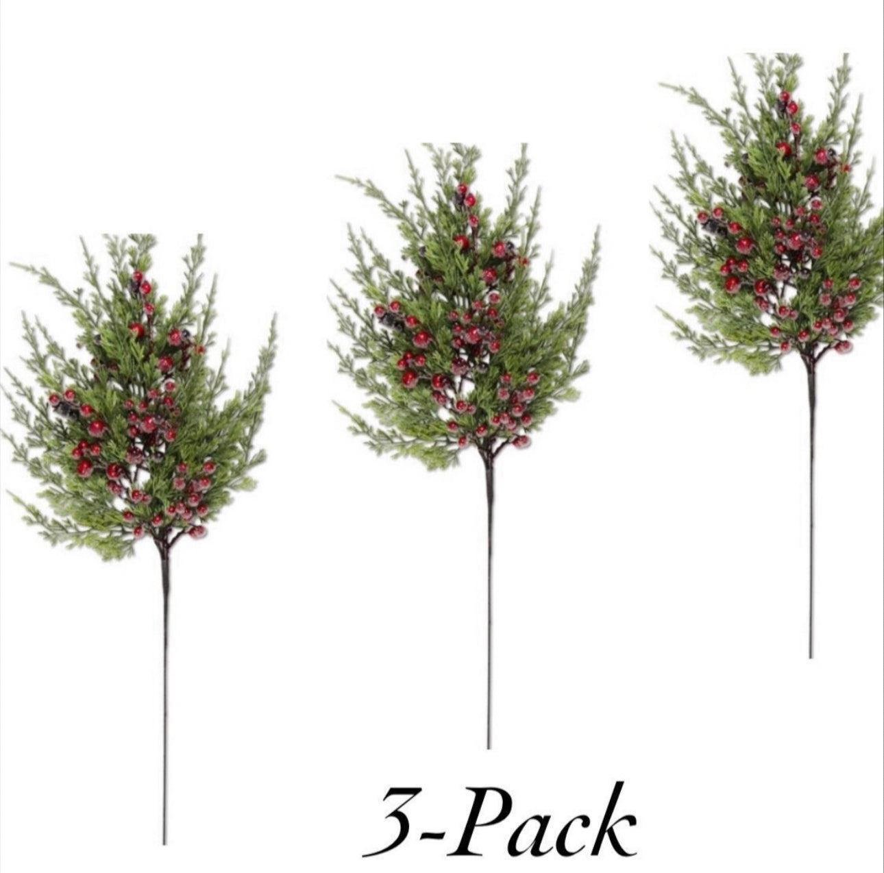 Cypress Pine with Red Berries Stems Pack of 3