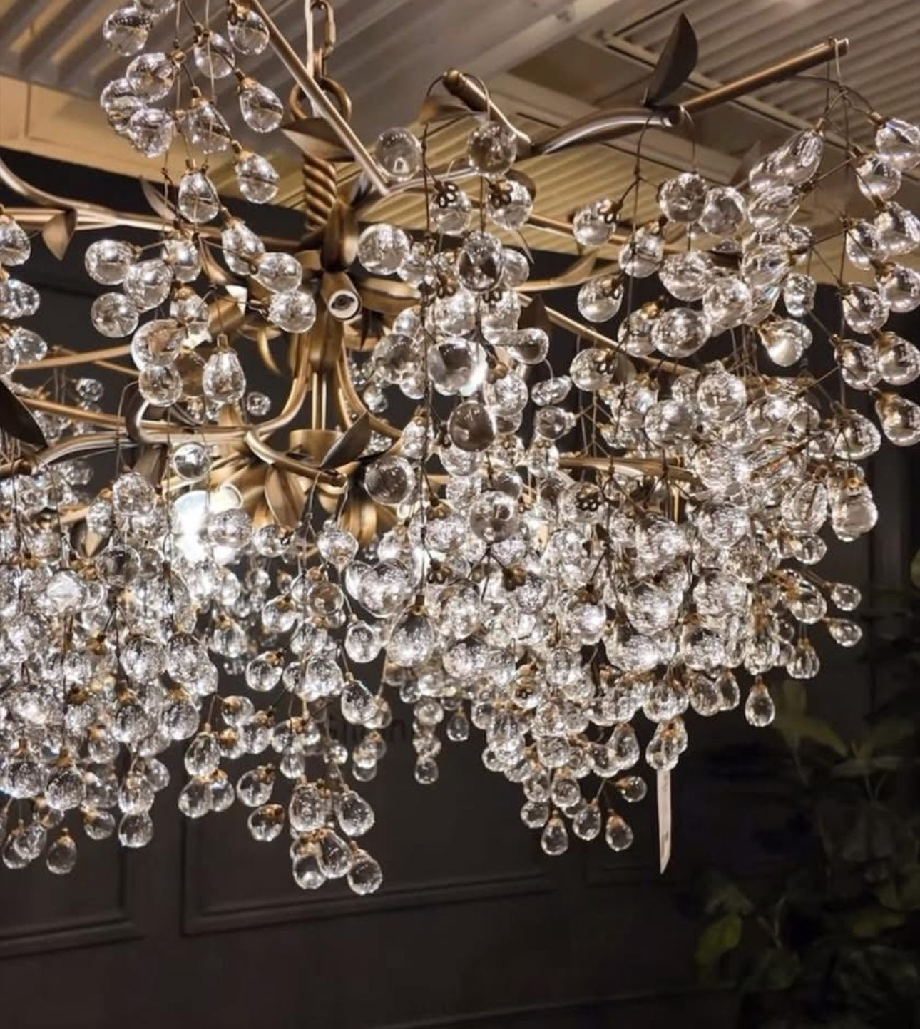 Glicina 8-Light Chandelier in Natural Brass by Quorum International