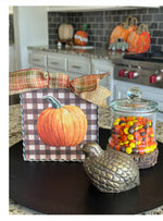 Load image into Gallery viewer, Check Background Pumpkin Mini Print with Galvanized Frame
