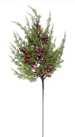 Load image into Gallery viewer, Cypress Pine with Red Berries Stems Pack of 3
