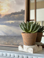 Load image into Gallery viewer, Succulents in Distressed Terra Cotta Pot with Pebble Rocks
