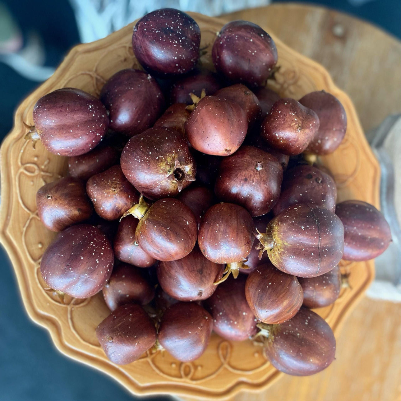 Harvest Burgundy Pomegranates Speckled Stem Set of 12