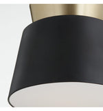 Load image into Gallery viewer, Pendant Contemporary Black and Gold 1-lite
