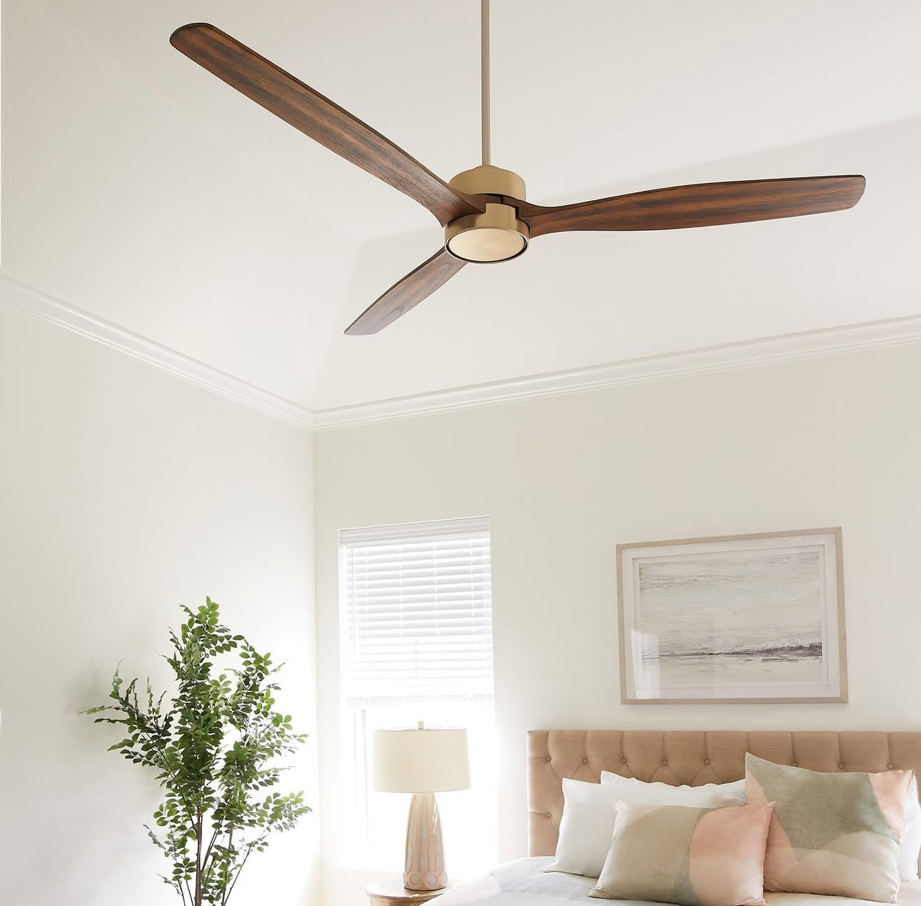Quorum Reni 65"  DAMP Ceiling Fan Indoor or Outdoor