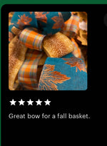 Load image into Gallery viewer, (9) Options Fall &amp; Halloween Bows
