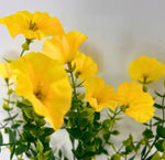 Load image into Gallery viewer, Yellow Morning Glory Bush Artificial Flowers

