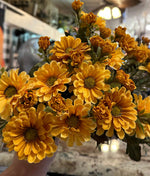 Load image into Gallery viewer, Set of 3 Bushes Yellow Gold Mums
