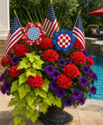 Load image into Gallery viewer, All American Flowers Blue, Red, White Patterns Metal Stakes
