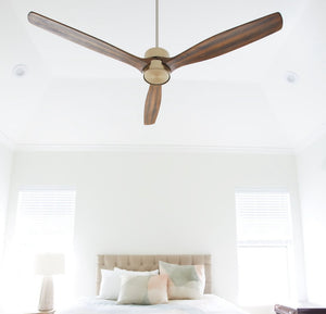 Quorum Reni 65"  DAMP Ceiling Fan Indoor or Outdoor
