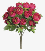 Load image into Gallery viewer, Hot Pink Peony Bush 16 heads
