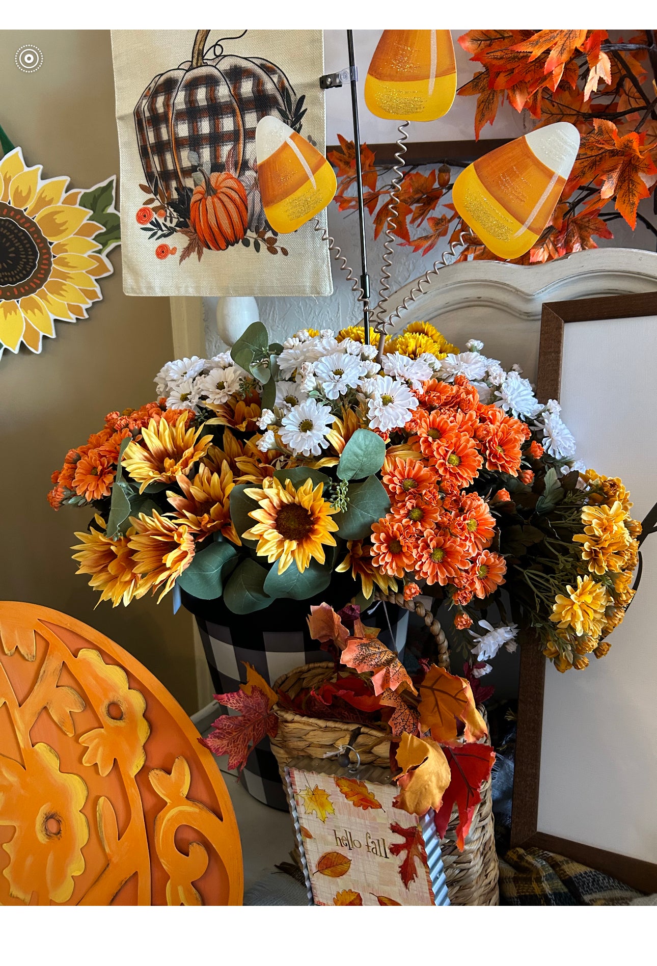 Set of 3 Bushes Orange Mums