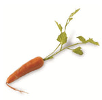 Load image into Gallery viewer, Decorative Orange 17” Carrots Set of 3 Light Weight Decor
