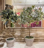 Load image into Gallery viewer, Small Sage Green Tabletop Potted Topiary in Cement Pot
