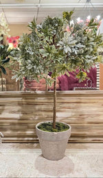 Load image into Gallery viewer, Small Sage Green Tabletop Potted Topiary in Cement Pot
