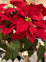 Load image into Gallery viewer, Velvet Red Poinsettia Bush
