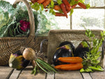 Load image into Gallery viewer, Decorative Orange 17” Carrots Set of 3 Light Weight Decor
