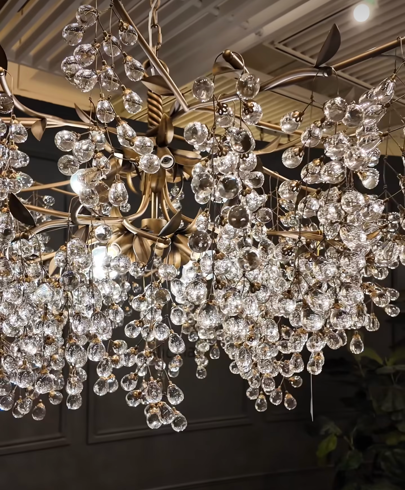 Glicina 8-Light Chandelier in Natural Brass by Quorum International