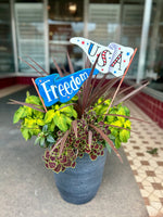 Load image into Gallery viewer, Americana: Freedom &amp; USA Pennant Metal Flag Stakes
