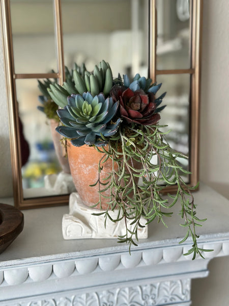 garden decorated customized terracotta succulent flower pot wholesaler Custom Floral Mixed Succulents in Terra Cotta Pot with Moss – MelizaInteriorsInc