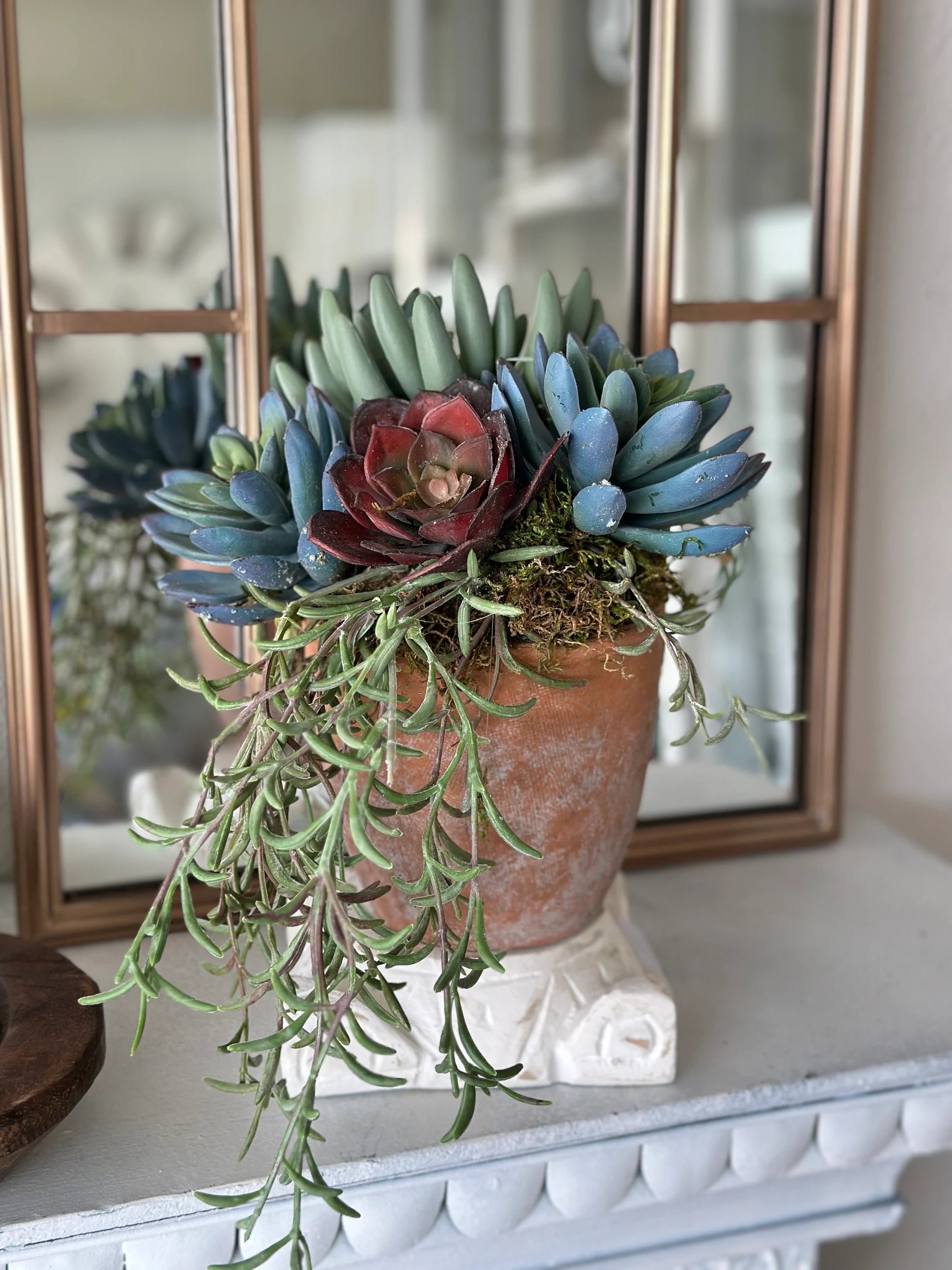 mix succulent arrangement Custom Floral Mixed Succulents in Terra Cotta Pot with Moss – MelizaInteriorsInc